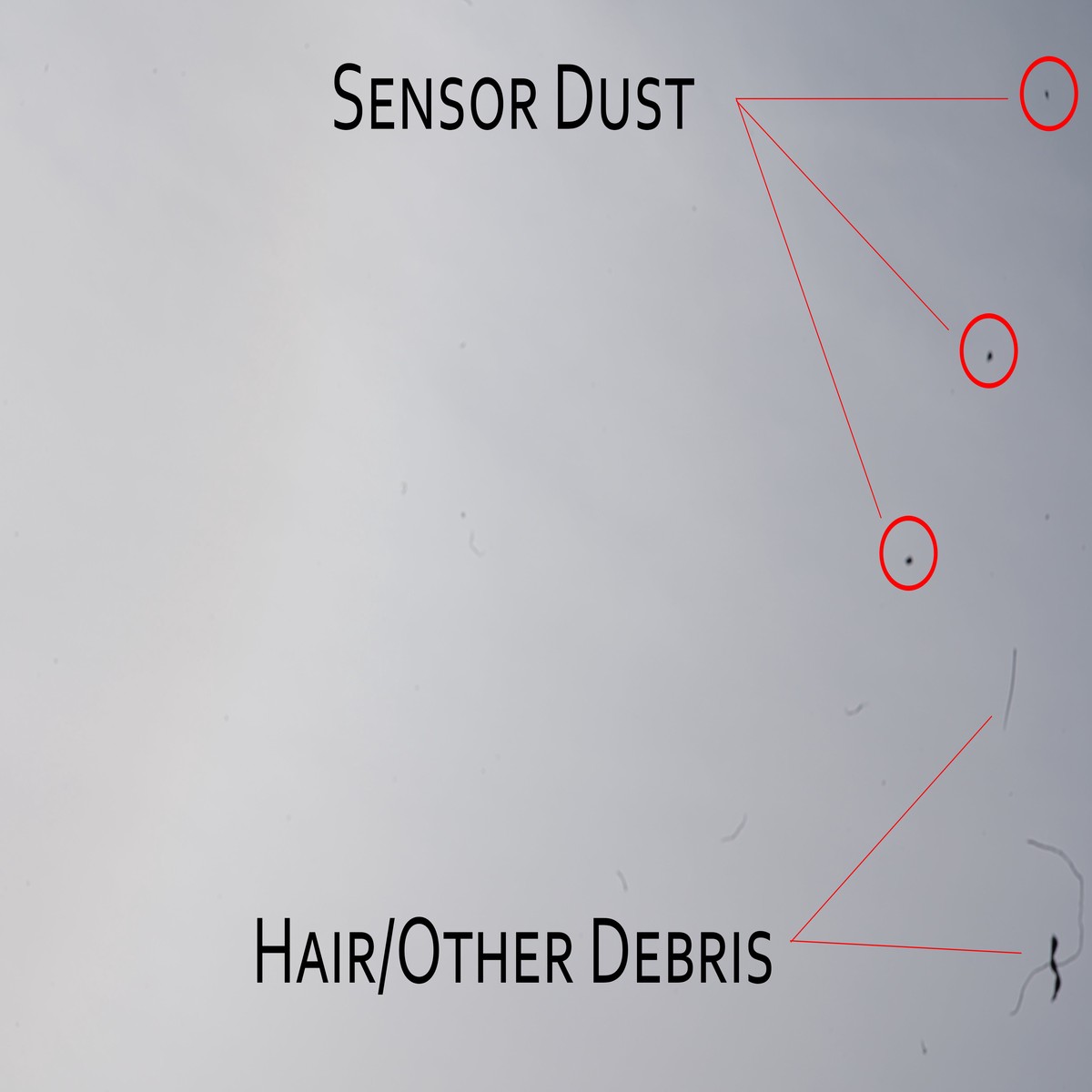 Sensor Cleaning